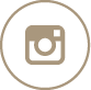 TD_INSTA
